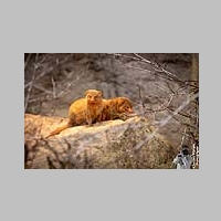 2025_03_01_OPEL_Zoo_IMG_5875.jpg